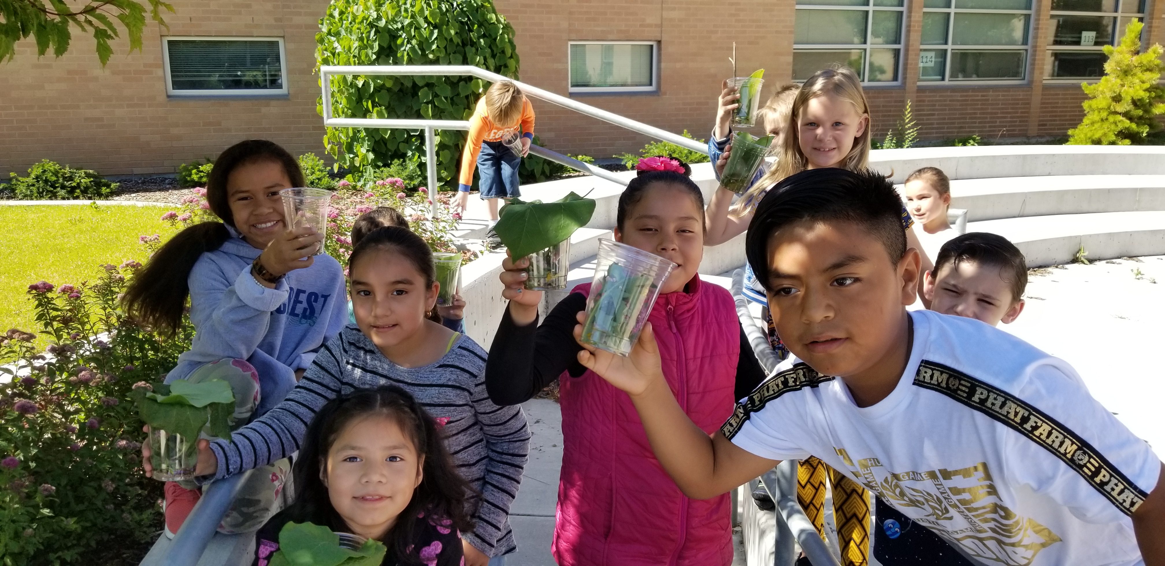 Stansbury creating habitats with bugs and plants